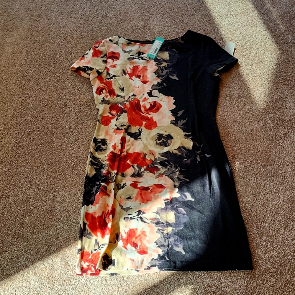 Stitch Fix- Wisp petite
